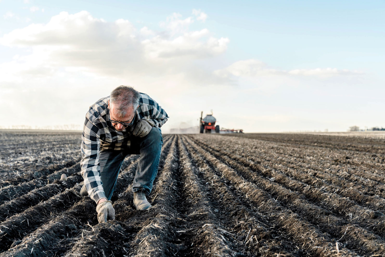 John Hamill inspecting crop