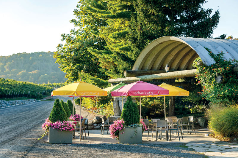 Malivoire patio