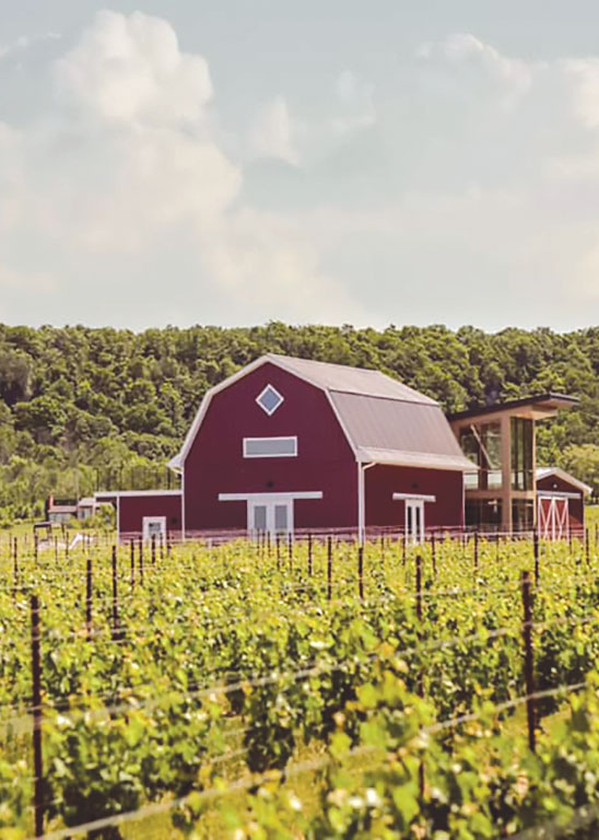 Cave Spring Barn Vineyard