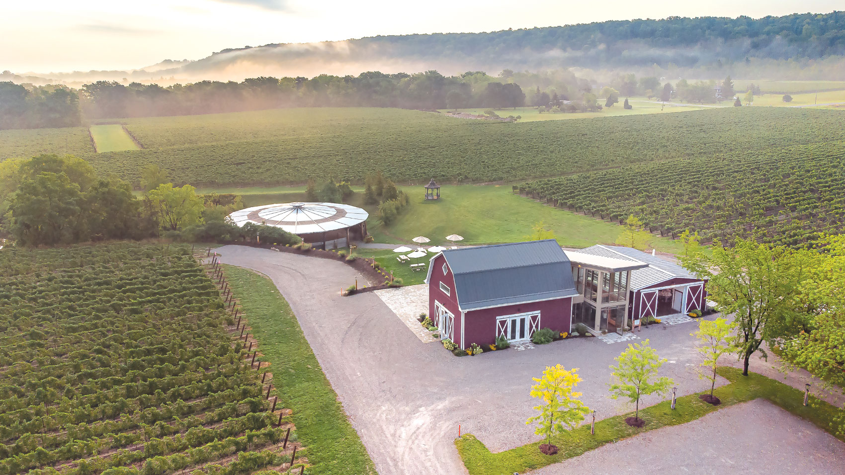 Aerial shot of Cave Spring Barn Vineyard