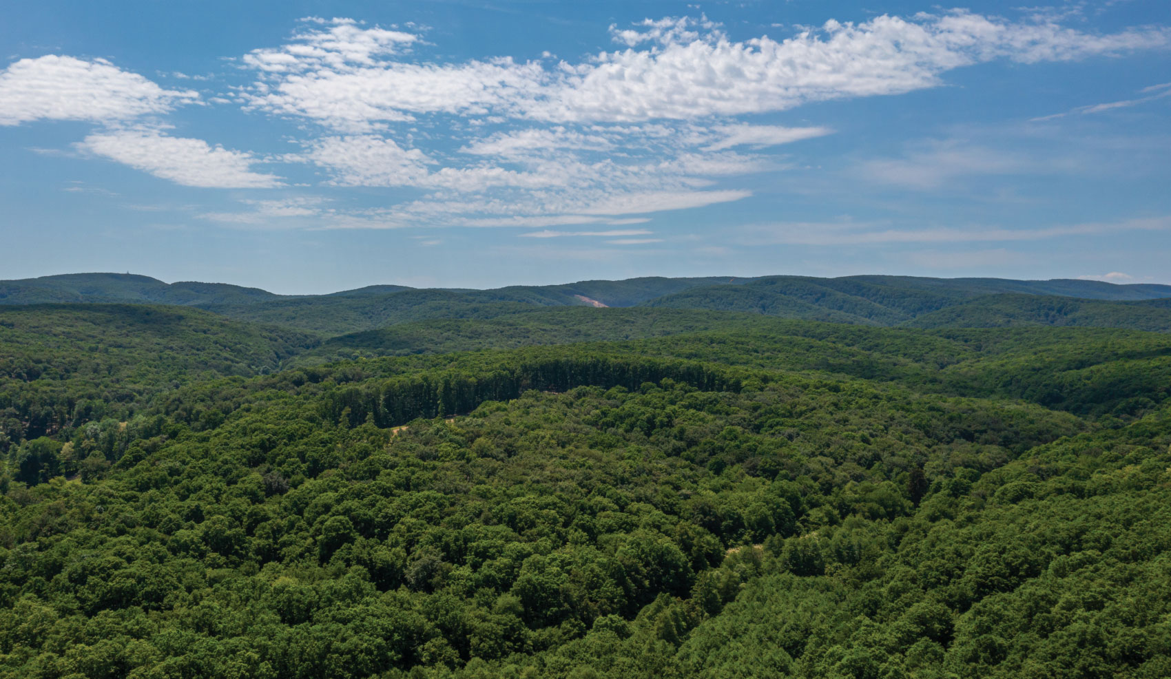 View above the Slavonian forest landscape and horizon