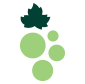 Wine Growers Canada logo mark