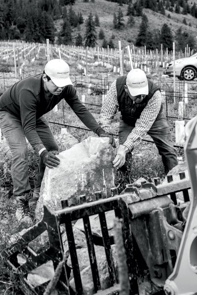 Workers in vinyard