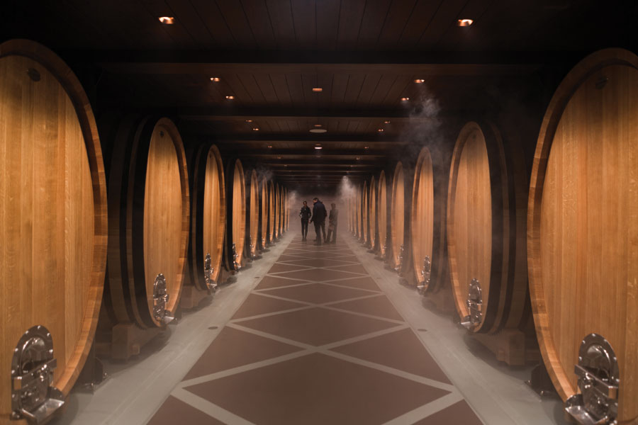 Large wine barrels lined up