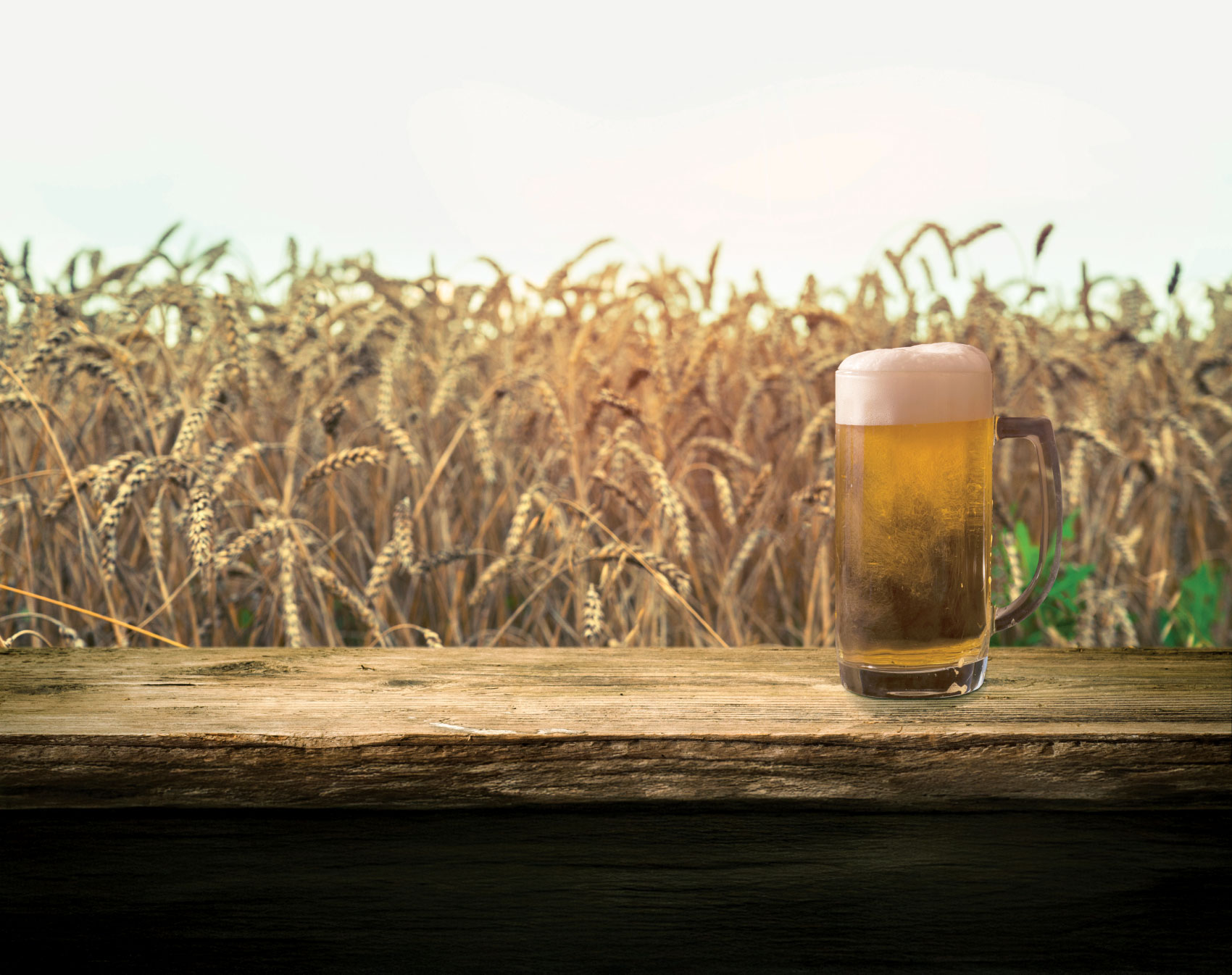 Mug of beer on rustic wooden table with wheat field in background