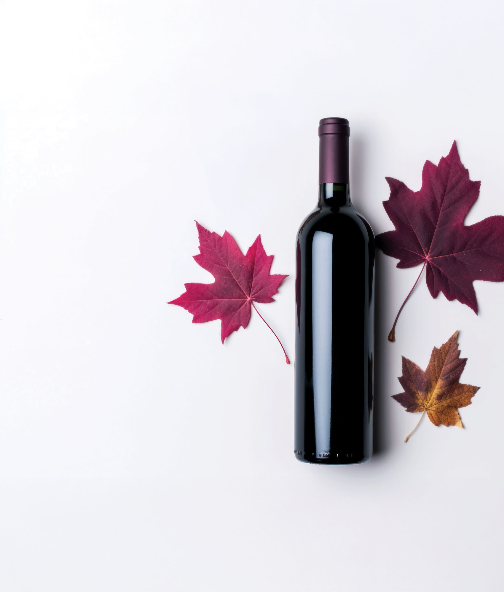 Bottle of red wine and red maple leaves