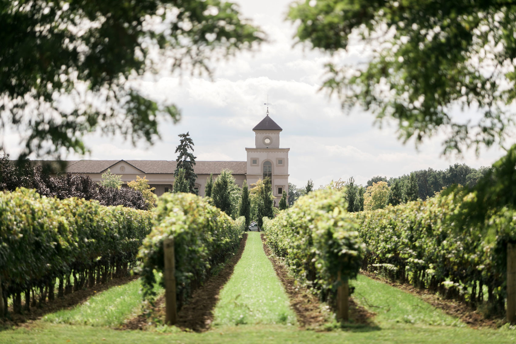 Exterior view of Estate with vineyard in foreground