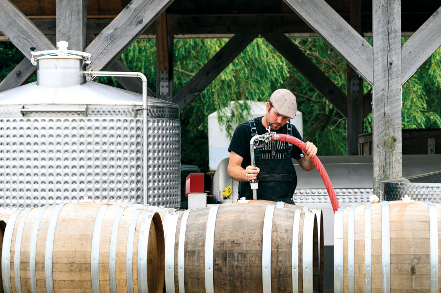 Man filling wooden barrels with cider