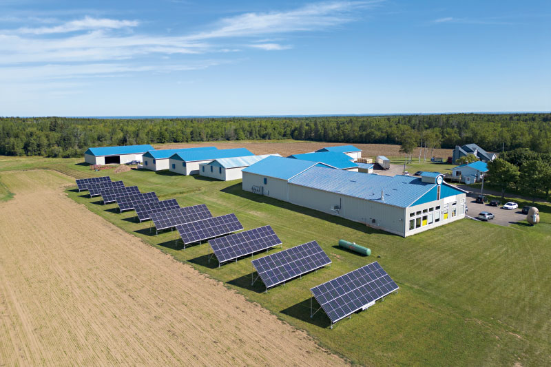 Solar panels installed at Blue Roof Distillers