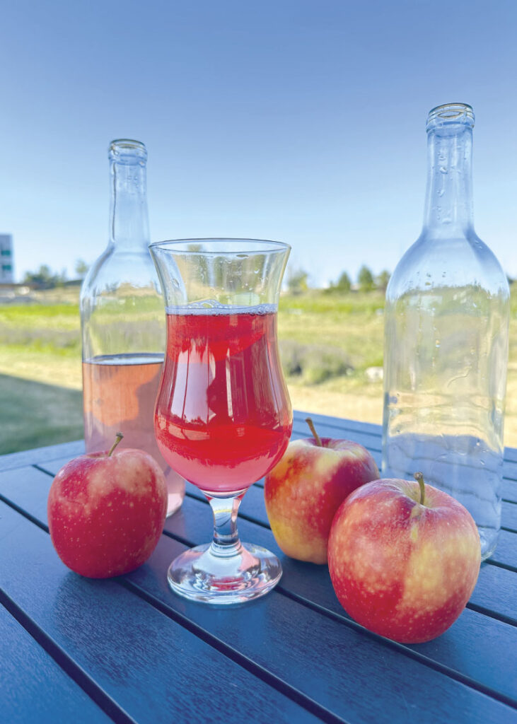 Bottle and glass of cider and apples on picnic table