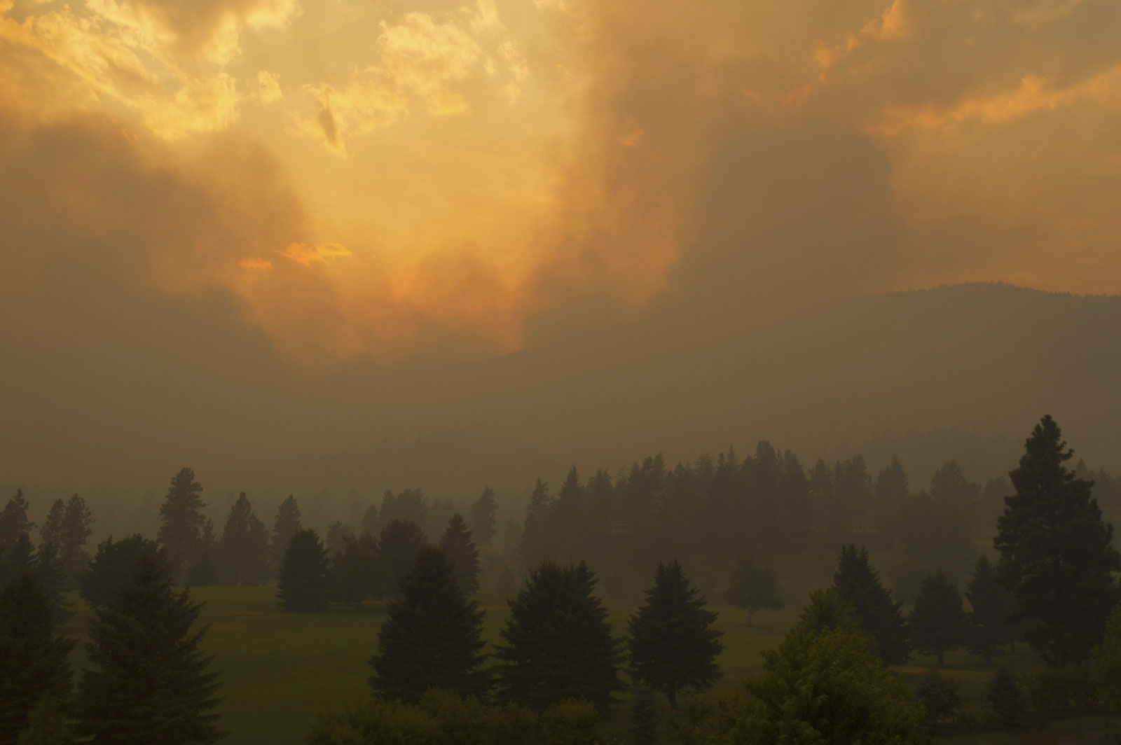 Smoke filled sky above forest fire