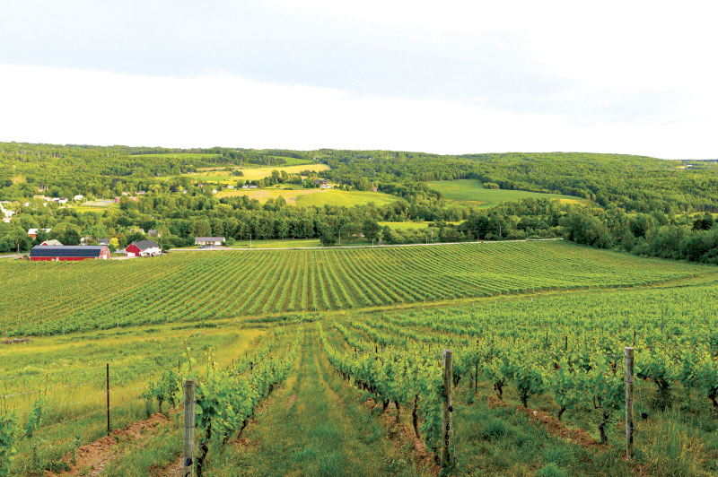 Aerial view of Gaspereau Vineyards