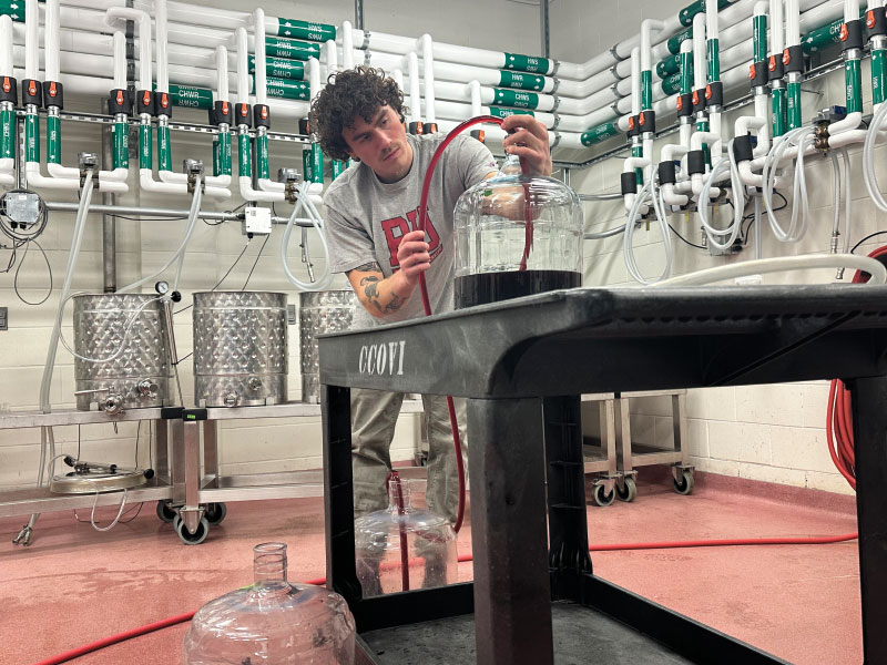 Student filling vat with wine