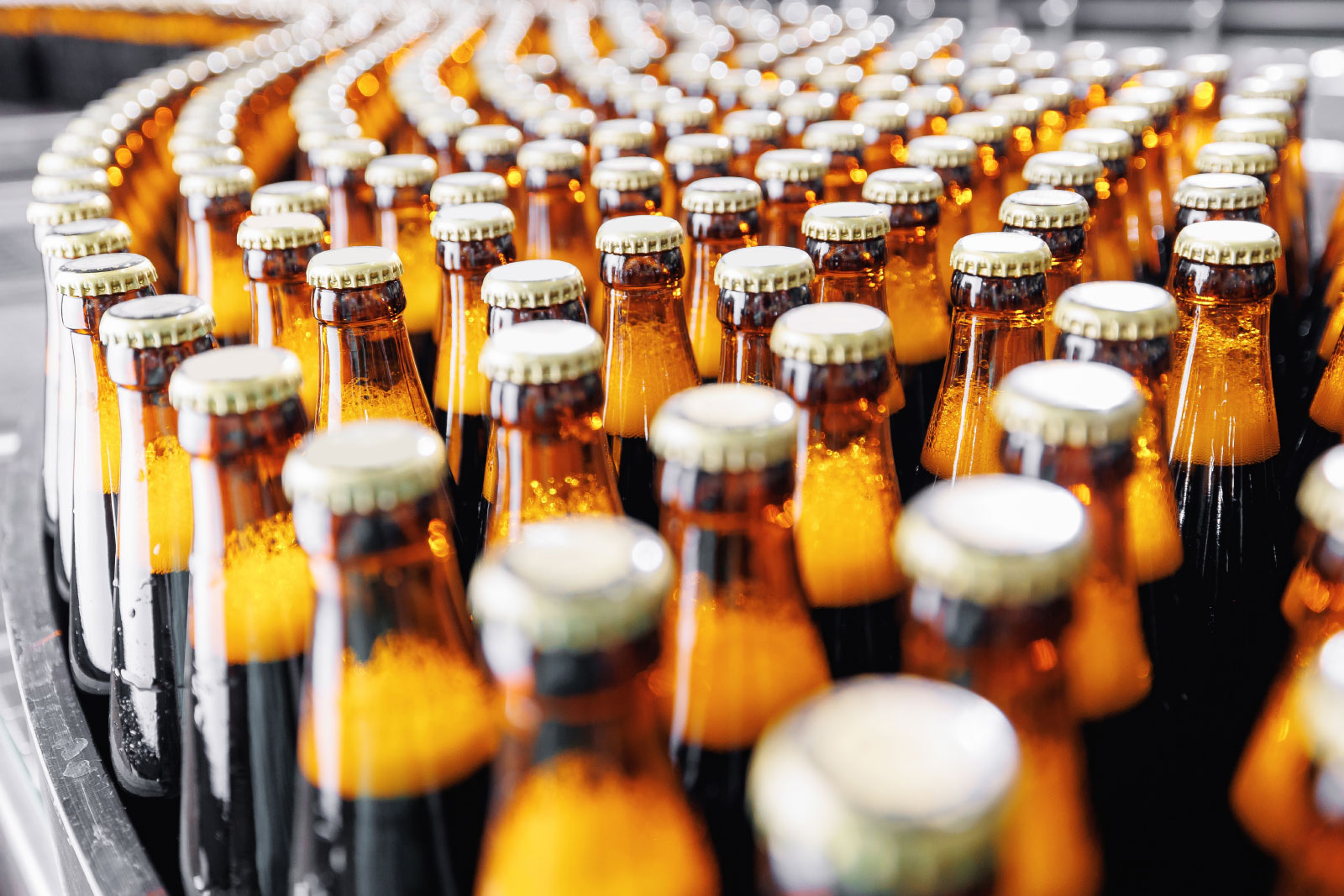Brewery conveyor on modern alcohol drink production line
