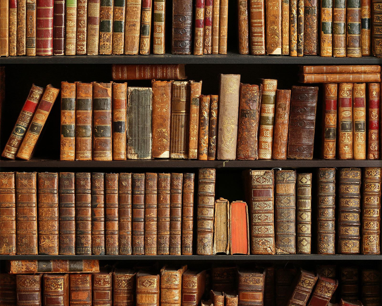 Books on a bookshelf