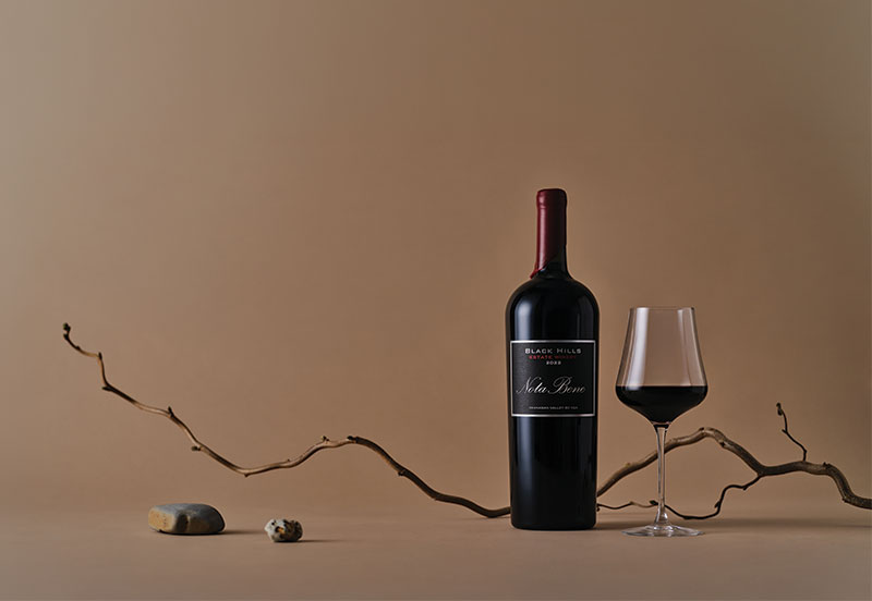 Artistic photo of wine bottle, branch and small stones