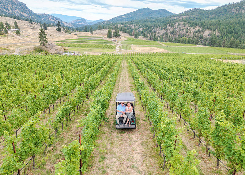 Aerial photo of couple in golf cart in vineyard