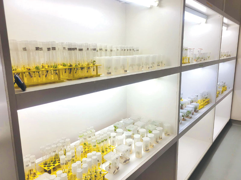 Laboratory samples