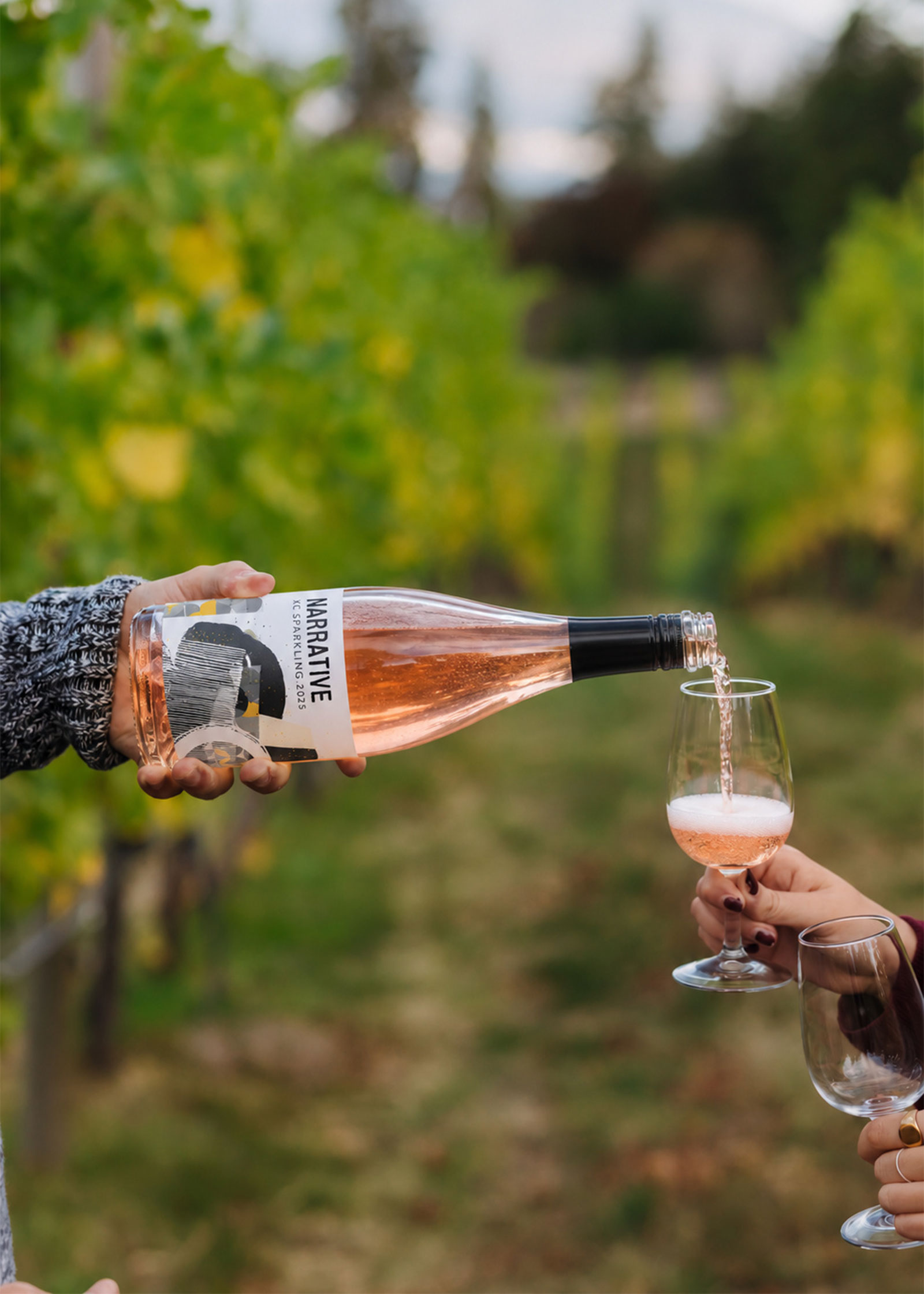 Pouring glass of wine in vineyard