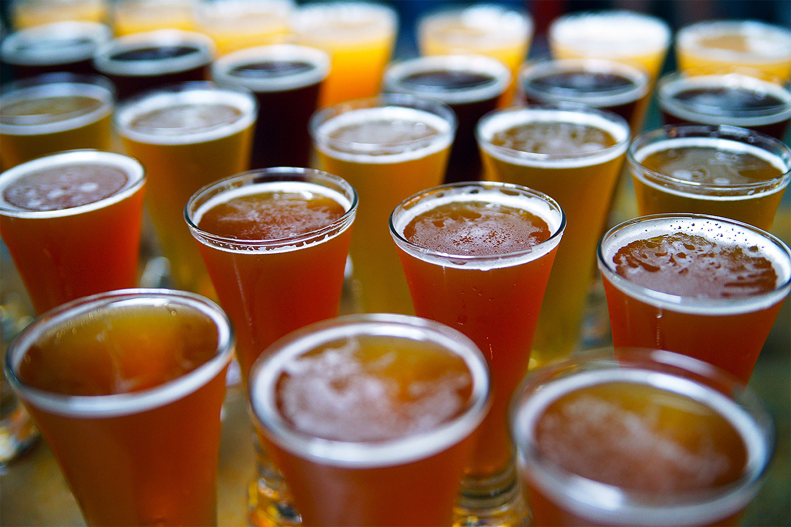 Variety of Beers of Different Styles in Pilsner Glasses